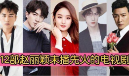 未上映的电视剧,未上映电视剧之谜