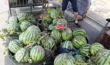 韩城吃瓜最新事件爆料,最新爆料揭秘幕后真相