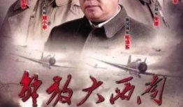电视剧解放大西南,烽火岁月里的英雄传奇
