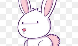 兔子 动漫,探寻兔子动漫的魅力世界